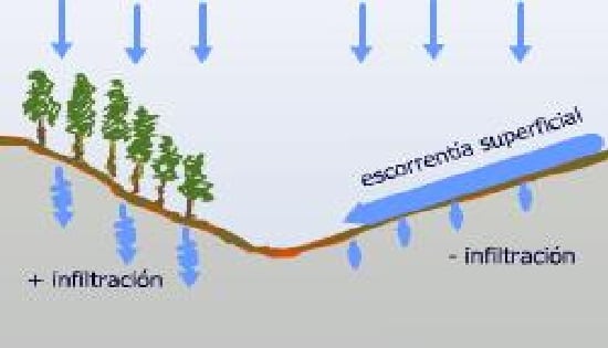 Ciclo del agua: Definición, Importancia, Faces del Proceso y Formas -  TÉRMINOS Y DEFINICIONES
